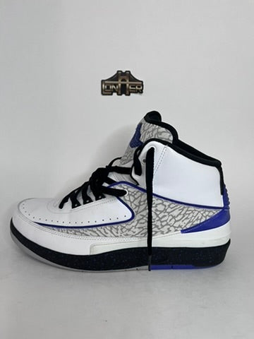 Air Jordan 2 - "Concord" (2014)